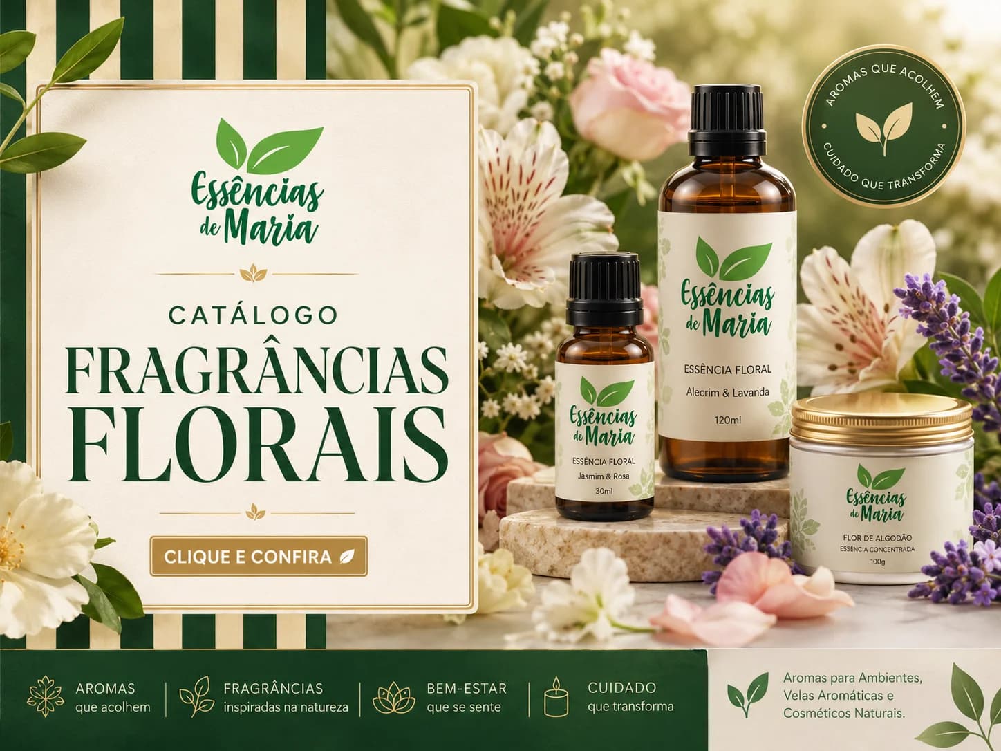 Campanha Promocional 3
